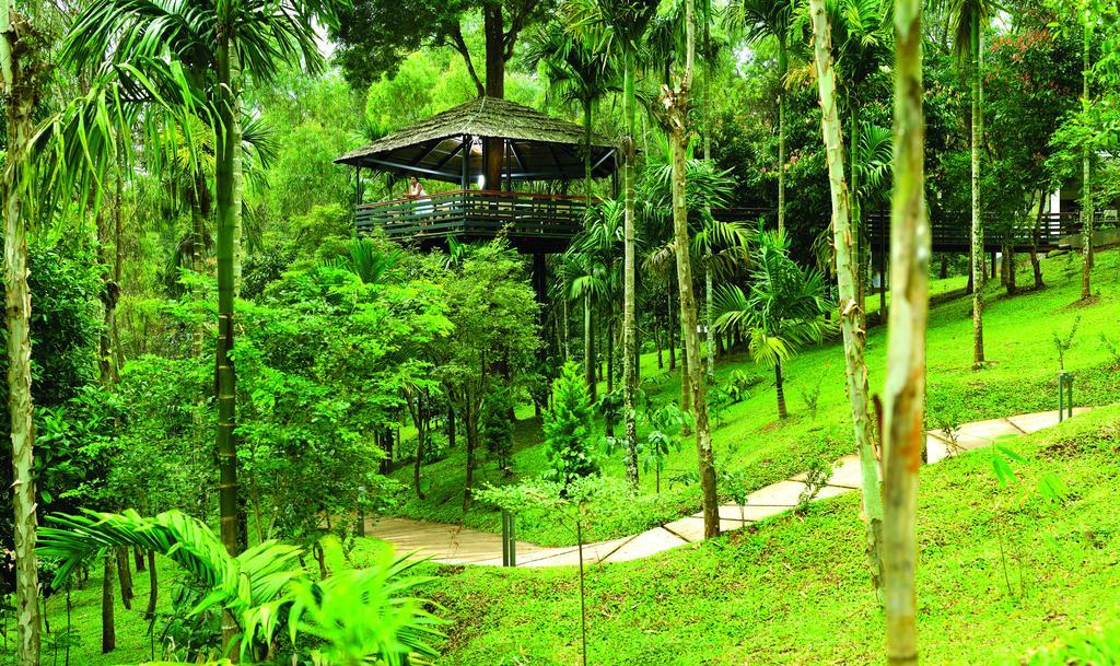 The Woods Resorts Wayanad Sultan Bathery Exterior foto