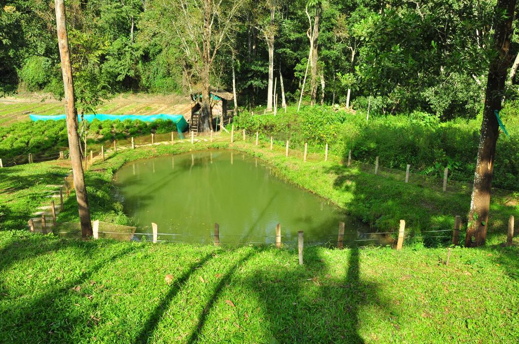 The Woods Resorts Wayanad Sultan Bathery Exterior foto