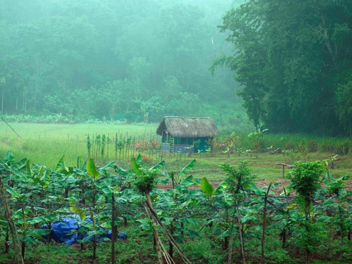 The Woods Resorts Wayanad Sultan Bathery Exterior foto