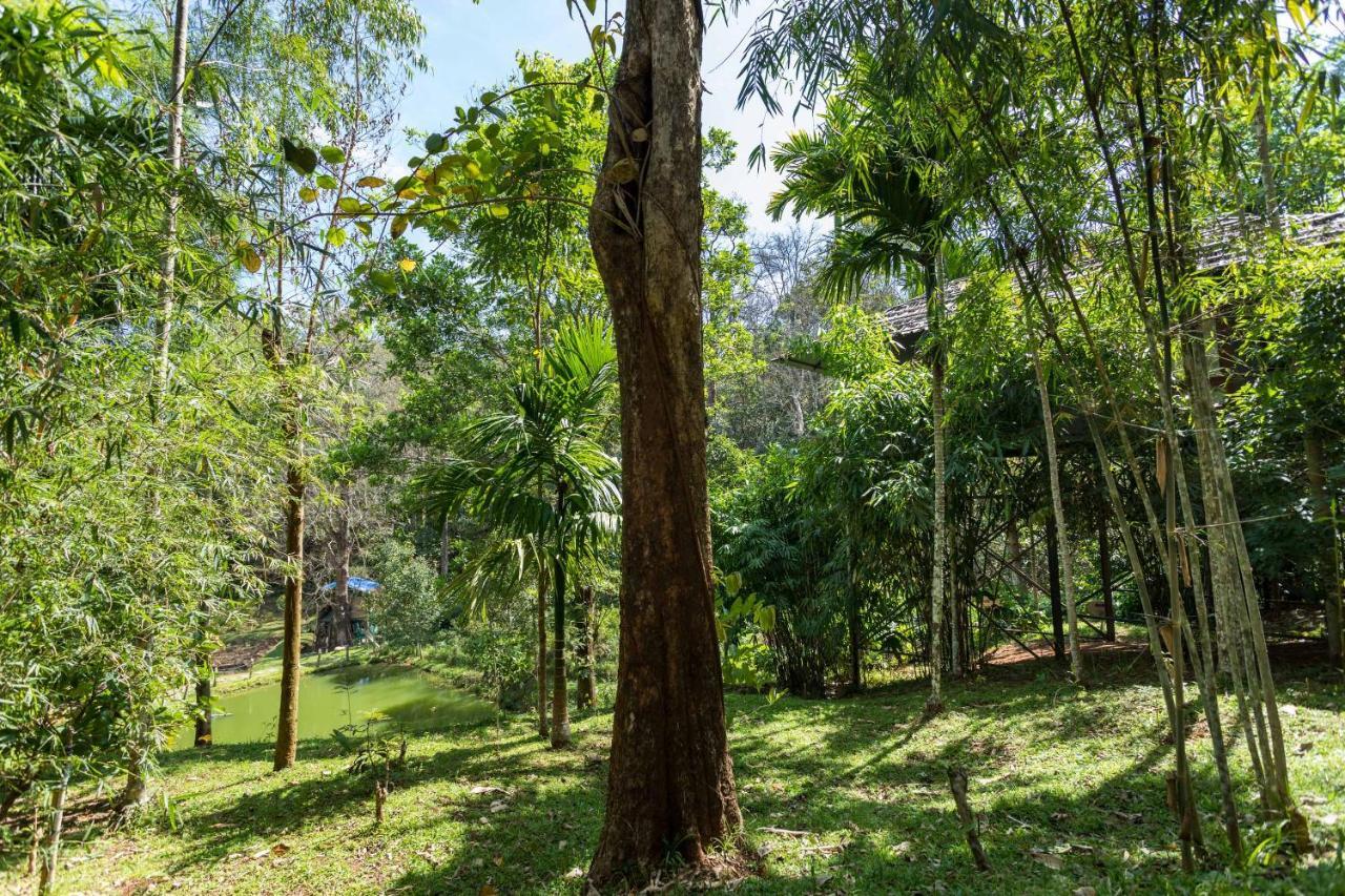 The Woods Resorts Wayanad Sultan Bathery Exterior foto